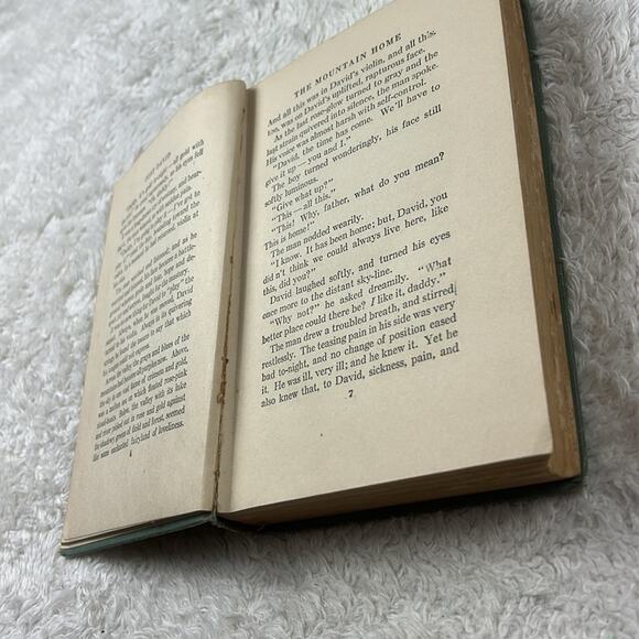 Vtg book bundle - Just David 1916 and Helen's Babies HC - fair - Picture 5 of 11